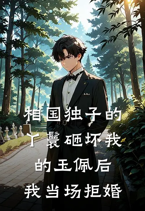 相国独子的丫鬟砸坏我的玉佩后，我当场拒婚