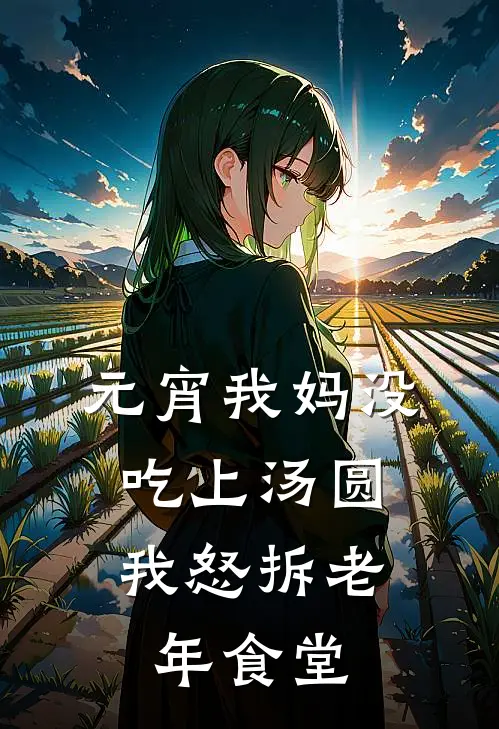 元宵我妈没吃上汤圆，我怒拆老年食堂(秦文斌沁沁)热门小说大全_免费小说大全元宵我妈没吃上汤圆，我怒拆老年食堂秦文斌沁沁